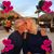 Cheryl Cash's profile image
