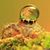 Kris Crocker's profile image