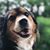Mary Ann Archer's profile image