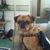 Michelle Roberts Hildenbrand's profile image