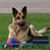 Judy Penner's profile image