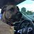 Andrea Robinson's profile image
