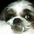 Sherry Akins's profile image