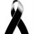 Sandra Sorto's profile image
