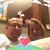 John Petzoldt's profile image