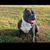 Kahdijah AsShaheed's profile image