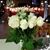 Roxanne Graff's profile image