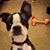 Monica Bridges's profile image