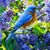 Jody Lindsey Swisher's profile image
