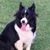 Dannye Smith's profile image