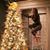 Karen LaClare Casi's profile image