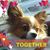Mandy Kilpatrick's profile image