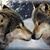 Marthi LaTondras's profile image