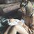 Kambra Celeste Ridgeway's profile image
