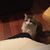 Stacy Bost Ramey's profile image