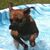 Dawn Griffiths's profile image