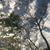 Duane Cribb's profile image