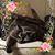 Jennifer Cole's profile image