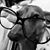 Cheri Kasmeier's profile image
