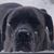 Darren Anderson's profile image