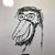 Collin Miranda's profile image