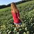 Alaina Thies's profile image