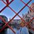 Vickie Williams's profile image
