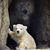 Carla Howa Robertson's profile image