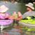 Jane Hoskins Kessell's profile image