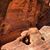 Michelle Gauvin's profile image