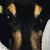 JOanne A-s's profile image