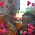 Arti Kamal's profile image