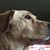 Ron Jozwiak's profile image