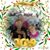 Diane Reiff Dengler's profile image