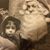 Suzanne Courter-Jann's profile image