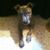 Ken Erdos's profile image