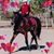 Pat Banks's profile image