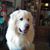 Tracie Sutton's profile image