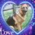 Linda Ferreri's profile image