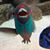 David Wheeler's profile image