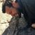 Dale Grinstead-Mayle's profile image