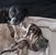Wendy Ganther's profile image