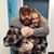 Colene Roberts's profile image