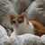 Maureen Straley's profile image
