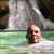 Howard Love's profile image