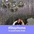 Sandra Vesen's profile image