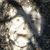 Roberta Turpin's profile image