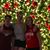 Brian Alves's profile image