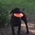 Jonah Green's profile image