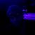 Darian Guein's profile image
